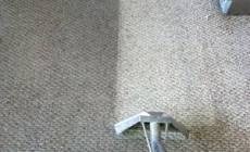 Carpet Cleaning Bold