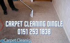 Carpet Cleaning Dingle