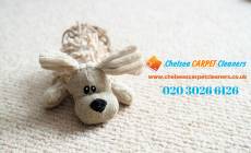Carpet cleaning Chelsea