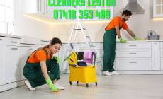 Cleaning Services Leyton