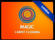 Professional Services provided by Magic Carpet Cleaning