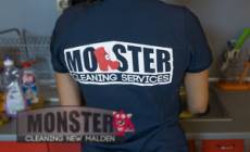 Monster Cleaning New Malden