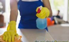 domestic cleaners Hampstead