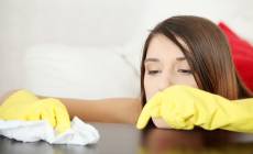 Cleaners Swiss Cottage Ltd.