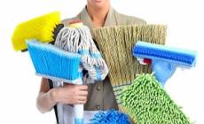 Hampstead Cleaner Ltd.